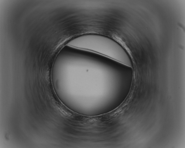 X0000092240249200709141009