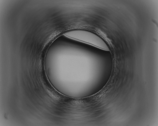 X0000092240250200709141009