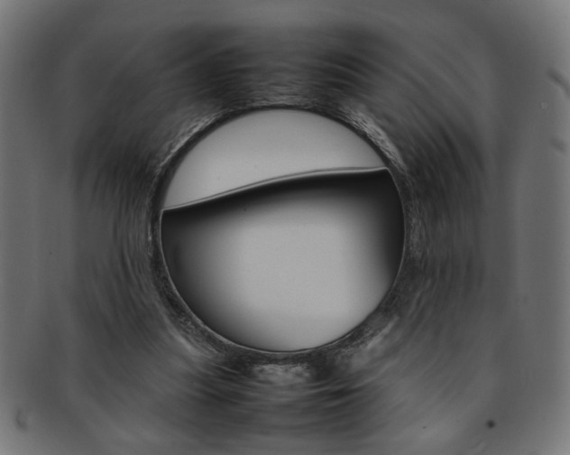X0000092240251200709141009