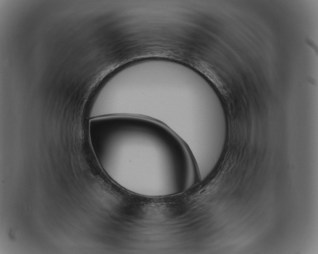 X0000092240252200709141009