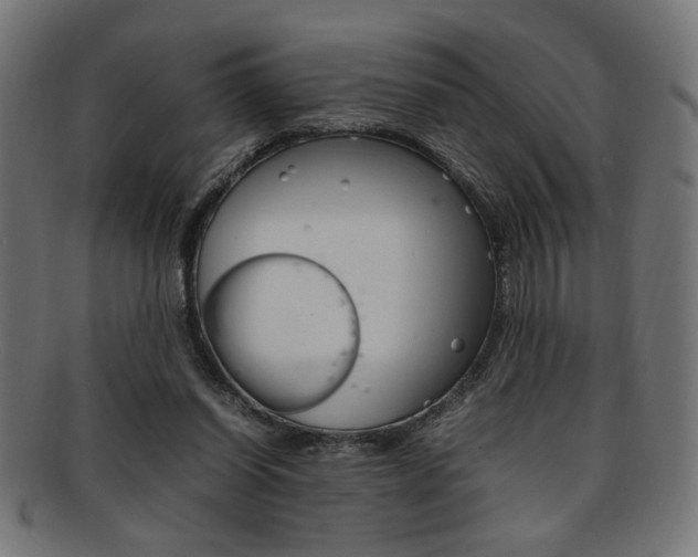 X0000092240254200709141009