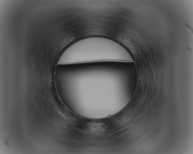 X0000092240255200709141009