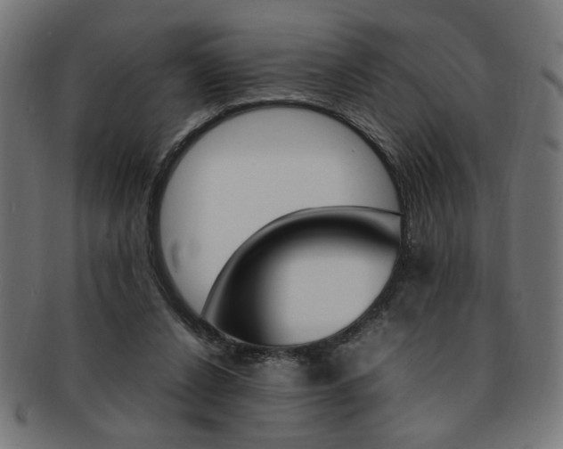 X0000092240256200709141009
