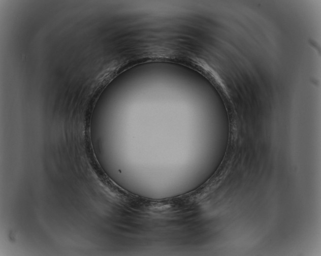 X0000092240257200709141009