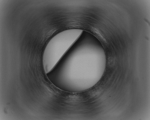 X0000092240259200709141009