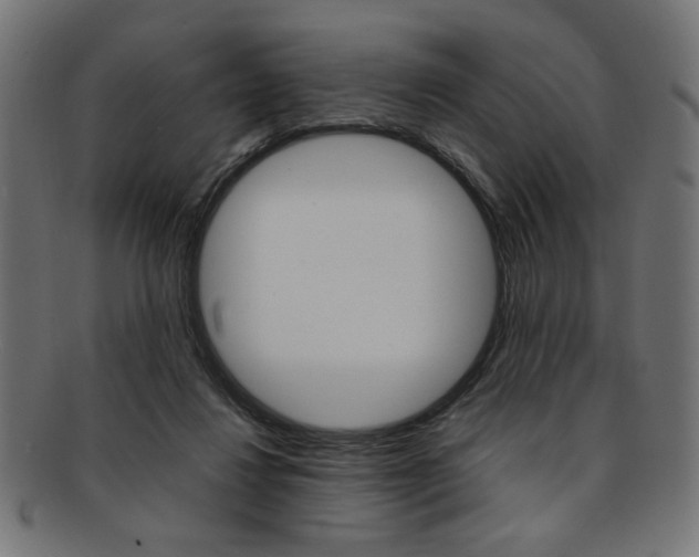 X0000092240260200709141009