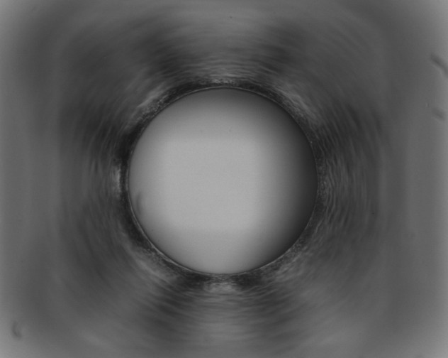 X0000092240262200709141009