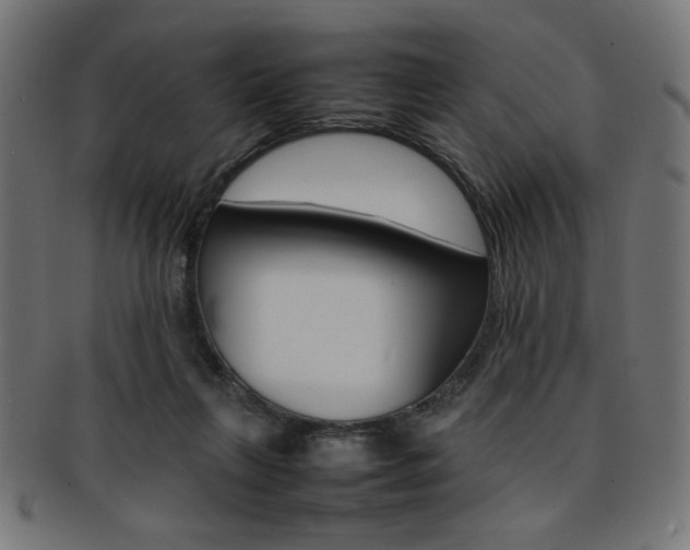 X0000092240263200709141009