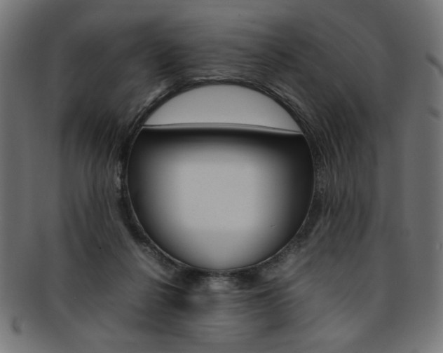 X0000092240264200709141009