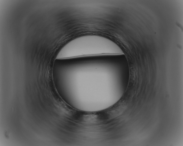 X0000092240266200709141009