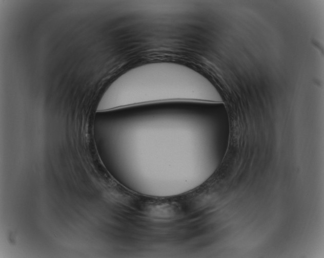 X0000092240267200709141009