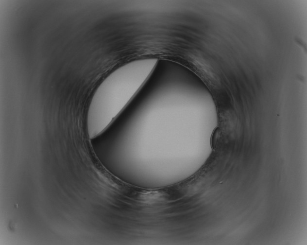X0000092240269200709141009