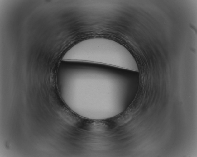 X0000092240270200709141010