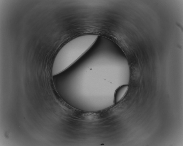 X0000092240273200709141010