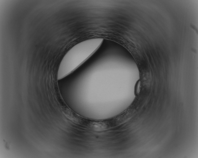 X0000092240275200709141010