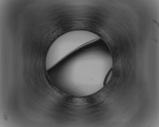 X0000092240277200709141010
