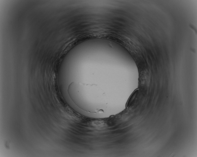 X0000092240279200709141010
