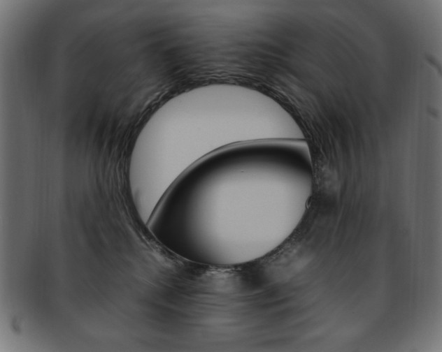 X0000092240280200709141010