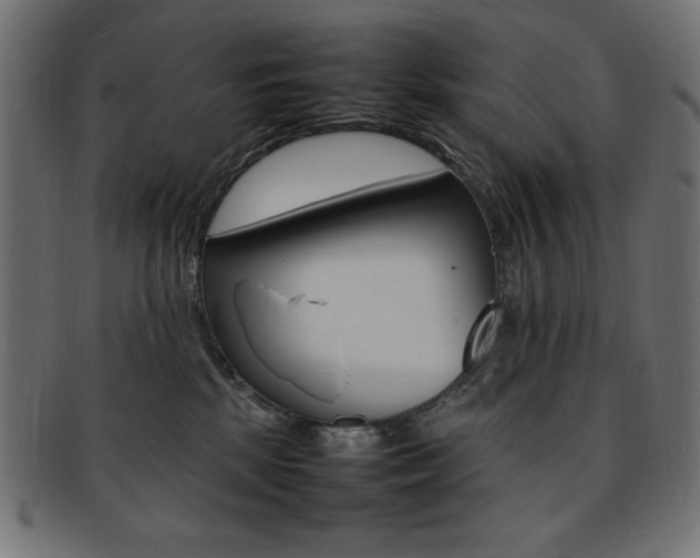 X0000092240281200709141010