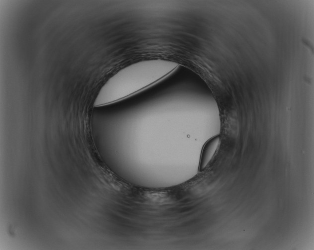 X0000092240283200709141010