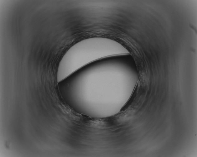 X0000092240284200709141010