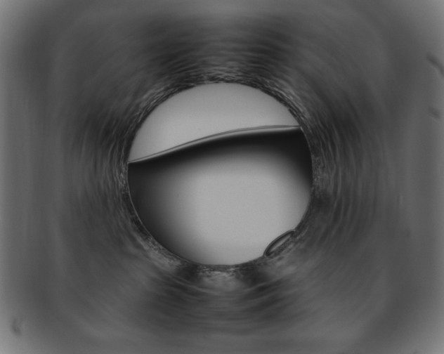 X0000092240285200709141010