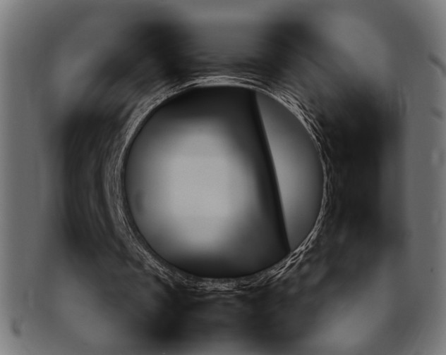 X0000092240289200709141009