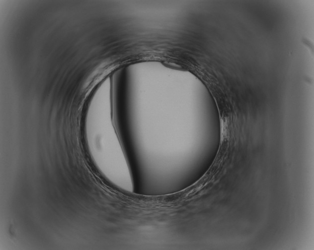 X0000092240291200709141009