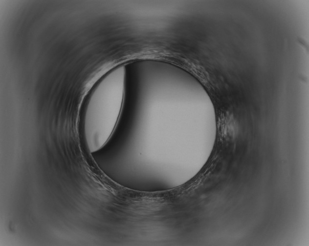 X0000092240292200709141009