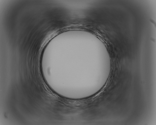 X0000092240293200709141009