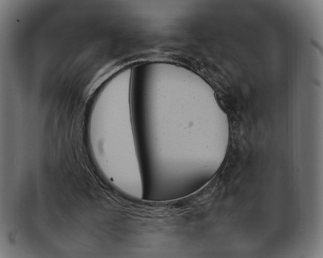 X0000092240295200709141009