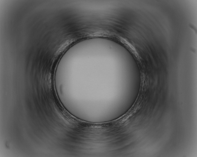 X0000092240298200709141009