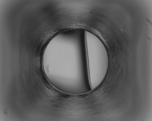 X0000092240299200709141009