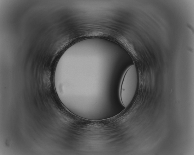 X0000092240300200709141009