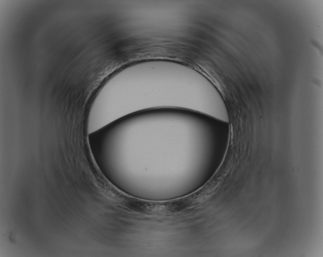 X0000092240301200709141009