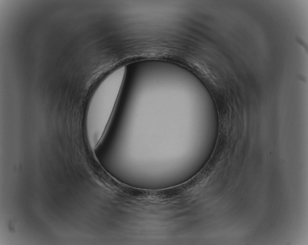 X0000092240303200709141009