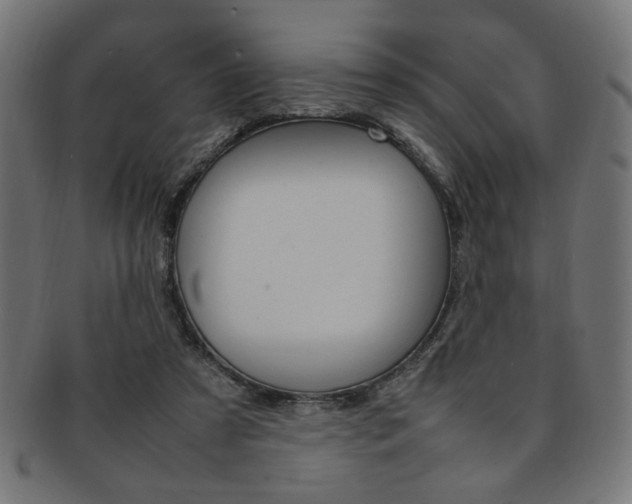 X0000092240305200709141009