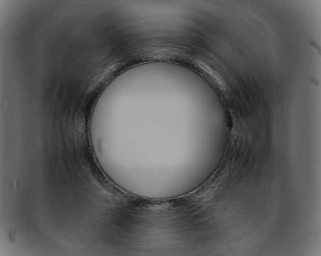 X0000092240306200709141009