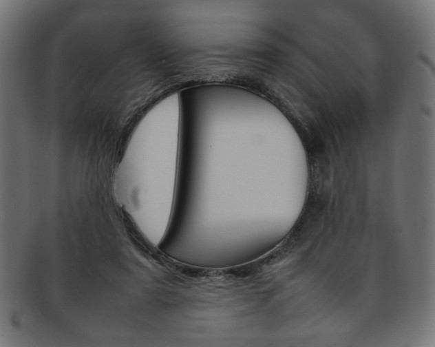 X0000092240307200709141009