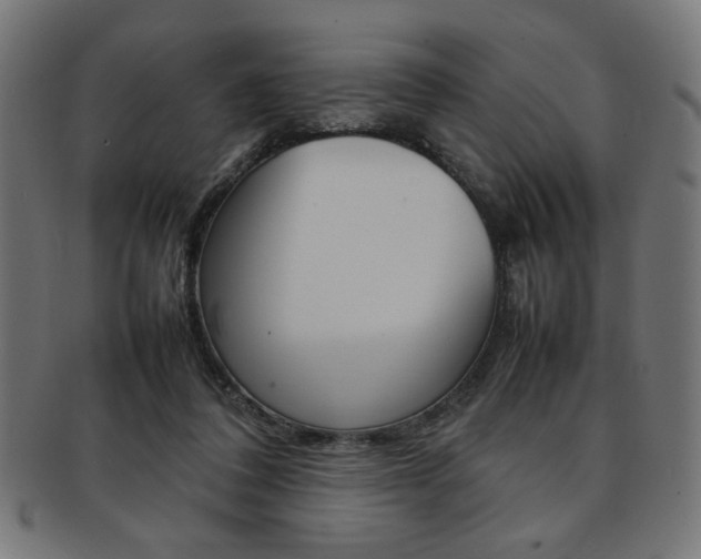 X0000092240308200709141009
