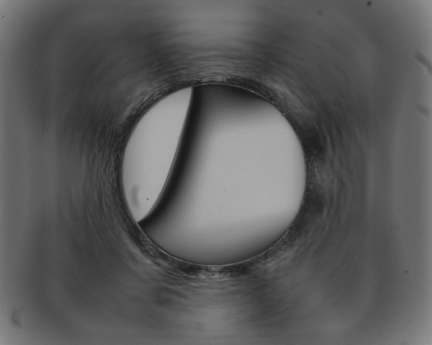 X0000092240311200709141009