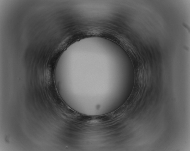 X0000092240312200709141009