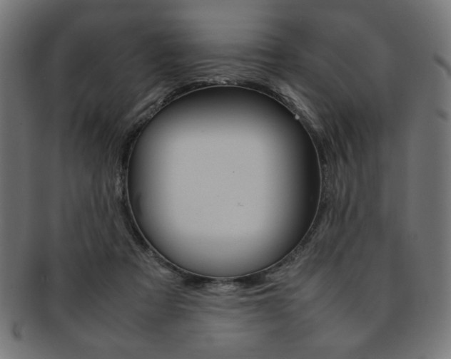 X0000092240313200709141009