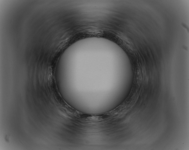 X0000092240320200709141009