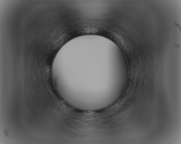 X0000092240321200709141009