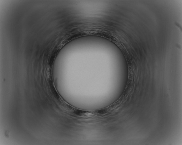 X0000092240323200709141009