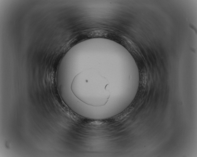 X0000092240326200709141009