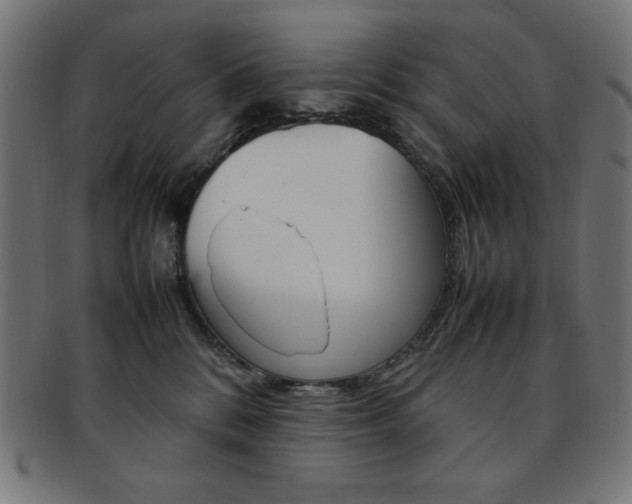 X0000092240328200709141009