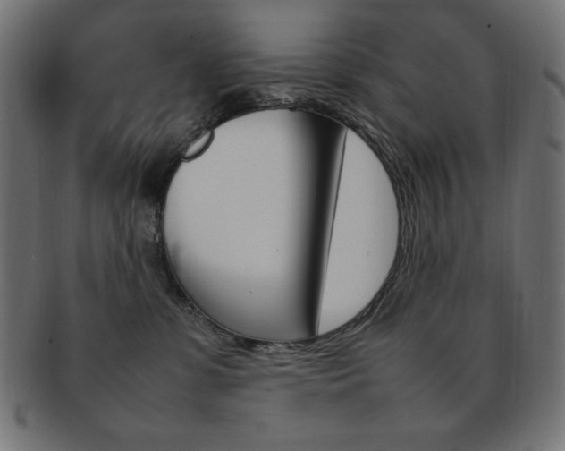 X0000092240331200709141008