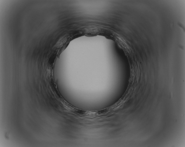 X0000092240333200709141008